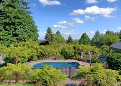 Olinda, Antique Liner